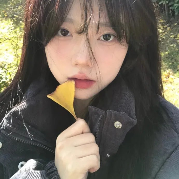 盲点 第五季